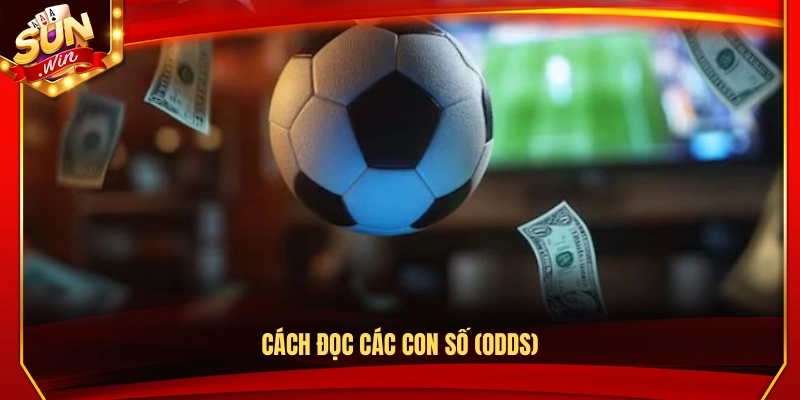 Hướng dẫn cách đọc các con số tỷ lệ cược (Odds)