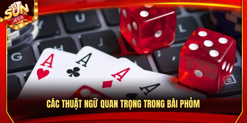 Luật Chơi Bài Phỏm – Cách Đánh Chuẩn Xác Đơn Giản Và Dễ Nhớ 3 Những thuật ngữ cần biết khi chơi phỏm
