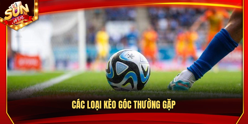 Bật Mí Mẹo Chơi Kèo Góc Hiệu Quả Được Nhiều Người Áp Dụng 3 Những dạng kèo góc phổ biến