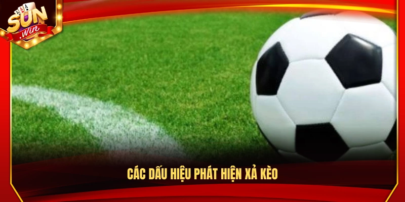 Xả Kèo Là Gì? Cách Nhận Biết Nhanh Và Xử Lý Đúng Lúc 3 Những dấu hiệu giúp nhận biết tình trạng xả